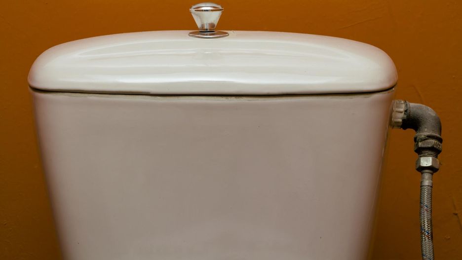 Dlaczego po powrocie z urlopu należy od razu spuścić wodę w toalecie?