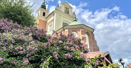 Nawet warszawiacy o nim nie wiedzą. Jest w samym sercu stolicy