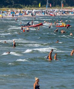 "Ataki" meduz nad Bałtykiem. Ponad 200 poparzonych