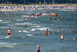 "Ataki" meduz nad Bałtykiem. Ponad 200 poparzonych