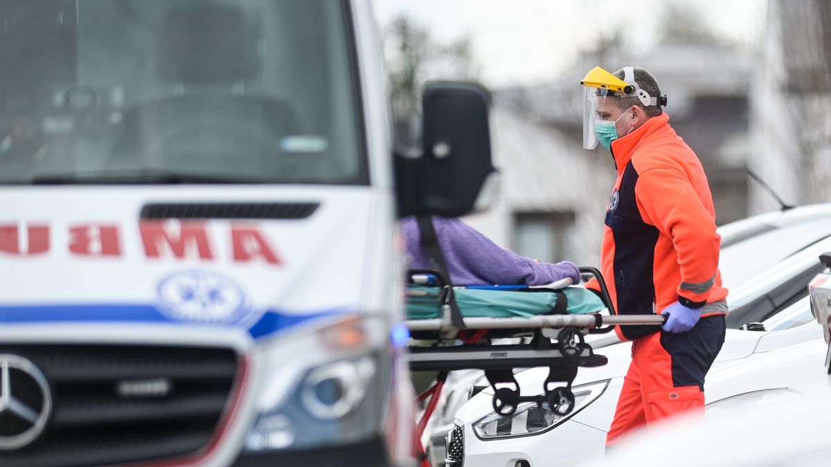 Zdjęcie ilustracyjne 