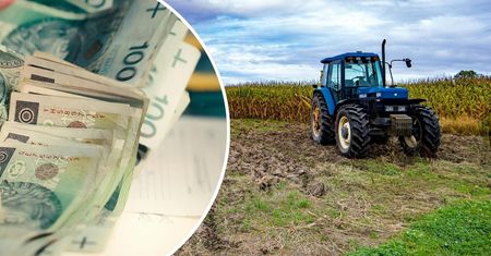 Długi rolników przekraczają 230 mln zł. "To wierzchołek góry lodowej"