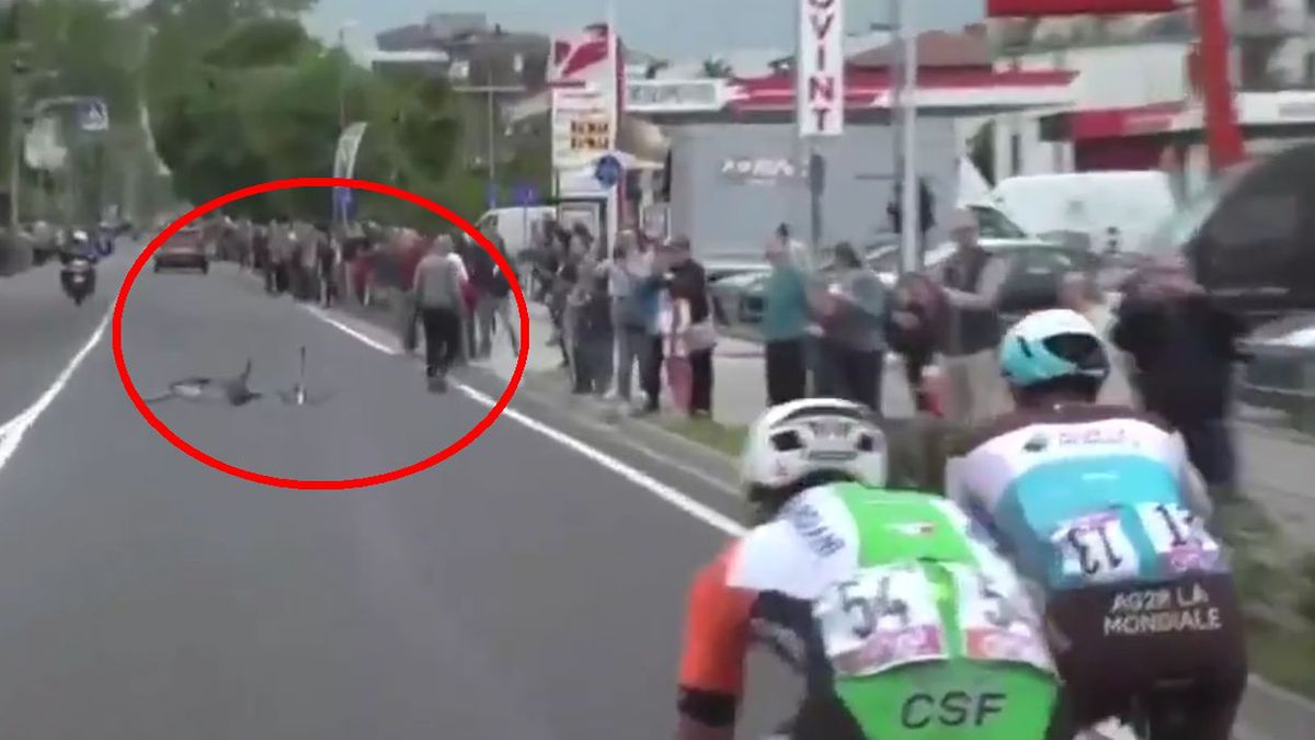 groźny incydent na trasie 18 etapu Giro d'Italia