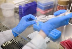 Koronawirus w Polsce. Najnowsze dane z Ministerstwa Zdrowia