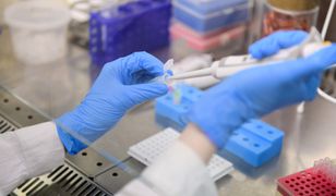 Koronawirus w Polsce. Najnowsze dane z Ministerstwa Zdrowia