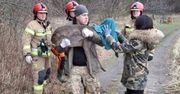 Sarna wpadła do Zalewu Zemborzyckiego. Została wyciągnięta z wody przez strażaków