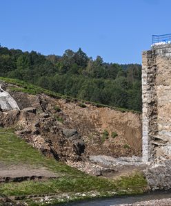 Cztery ofiary, setki milionów strat. Prokuratura jeszcze analizuje, czy wszczynać śledztwo