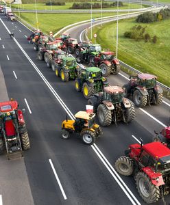 Rolnicy przygotowują traktory na protest. "Świnie się kiszą"
