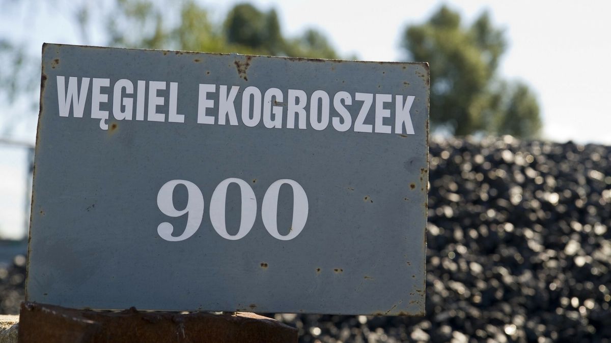 reporter9_baza22.08.2018 Elblag N/z halda wegla Fot. Stanislaw Bielski/REPORTERStanislaw Bielski/REPORTER