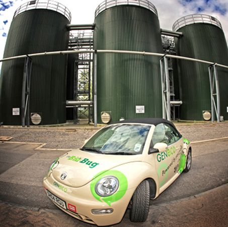 Jeżdżący Żuk gnojowy ze stajni Volkswagena [wideo] 1