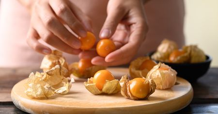 Physalis – egzotyczny owoc o oryginalnym smaku