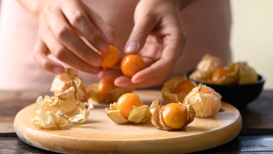 Physalis
