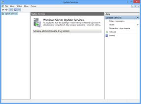 Windows Server Update Services