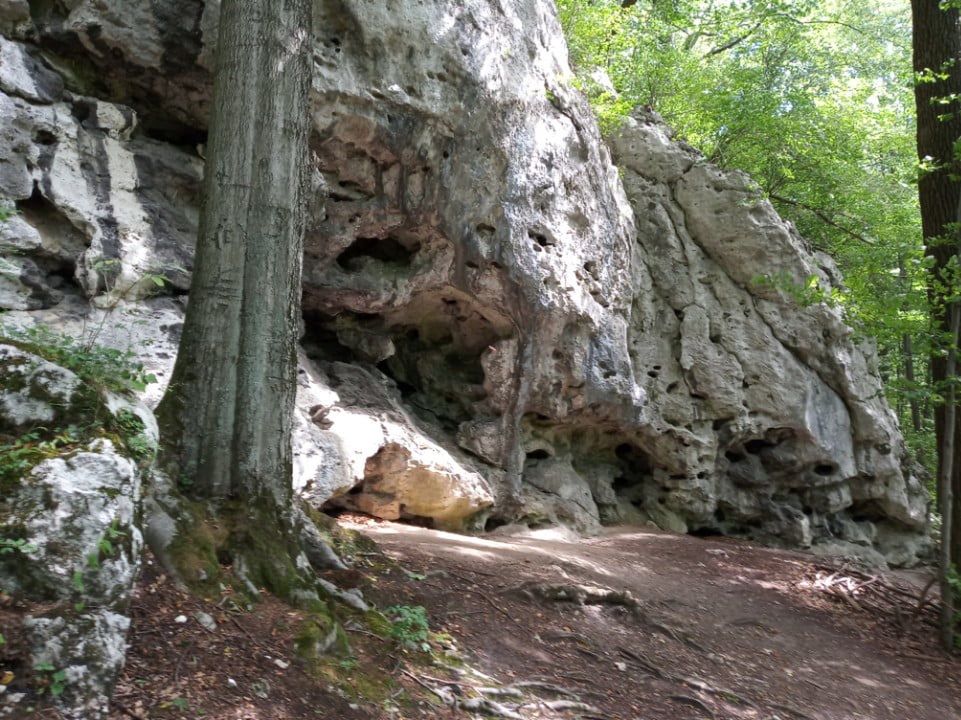 Obraz