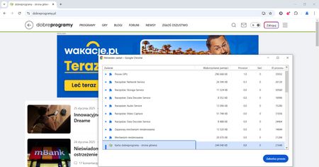 Google Chrome: jak przyspieszyć przeglądarkę?