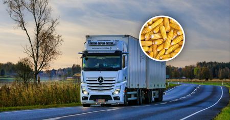 Transport z Argentyny zatrzymany. To miało trafić do sprzedaży w Polsce