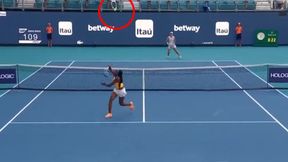 Tak rywalka zachowała się po zagraniu Świątek