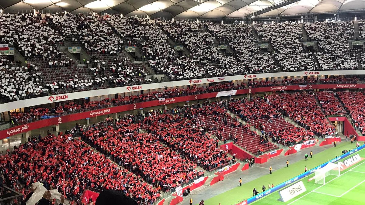 WP SportoweFakty / WP SportoweFakty / Kibice na meczu Polska - Mołdawia