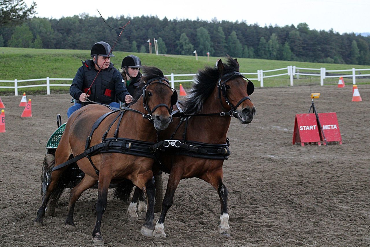 Regietów: XXXI Dni Huculskie – święto tradycji i jeździectwa