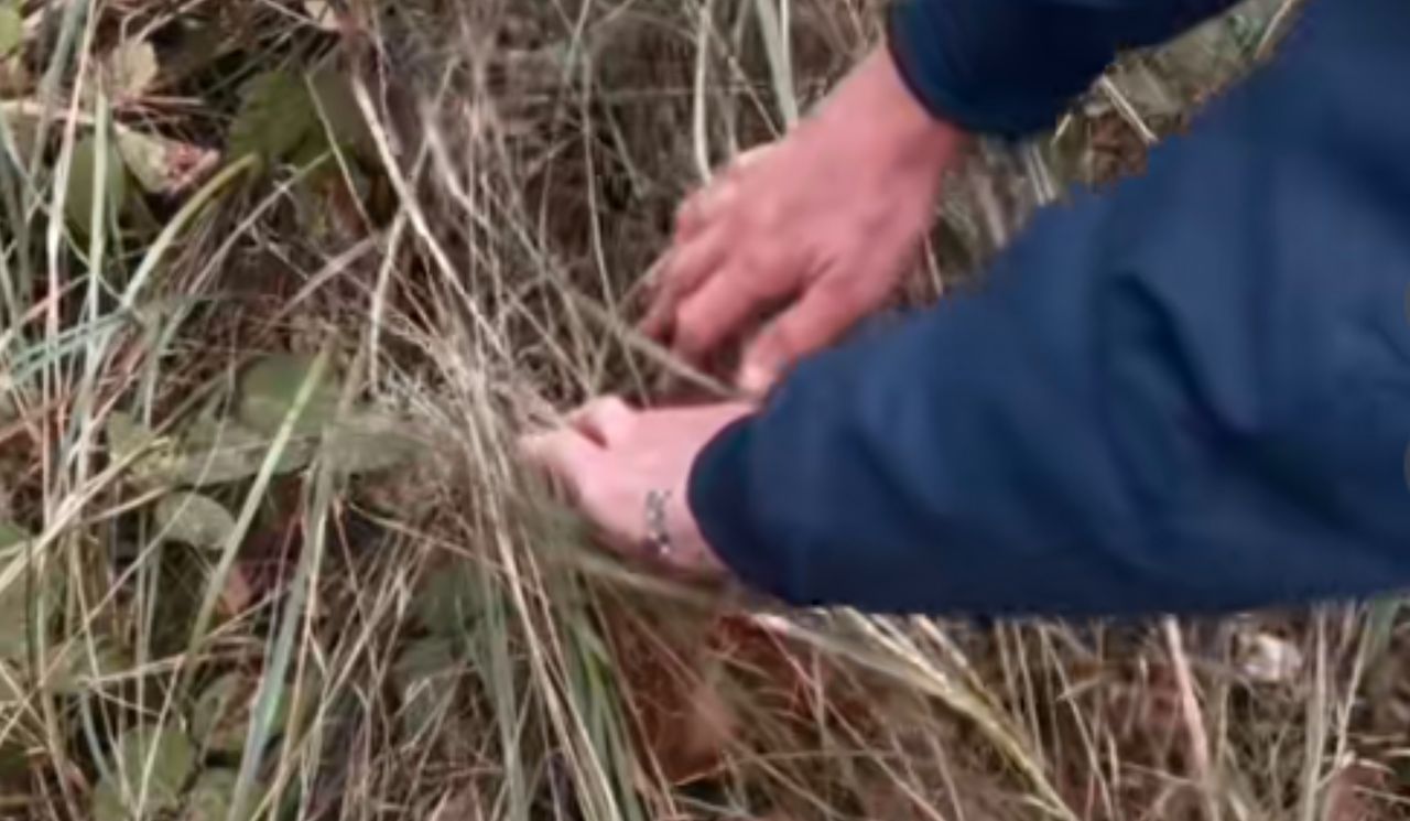 Tylko przegarnęła trawę. Prawie 1 mln wyświetleń. "Ale olbrzym"