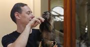 Wrocław: Exoticarium 2025 - największe targi terrarystyczne w Polsce z unikatowymi zwierzętami i kapucynką jako gwiazdą wydarzenia