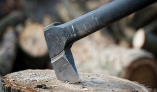 Poznań. Brutalne morderstwo. Sprawca mieszkał ze zwłokami