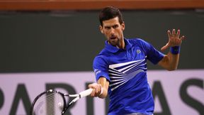 Tenis. US Open: łatwe wygrane Novaka Djokovicia i Daniła Miedwiediewa. Ostatni wielkoszlemowy mecz Janko Tipsarevicia