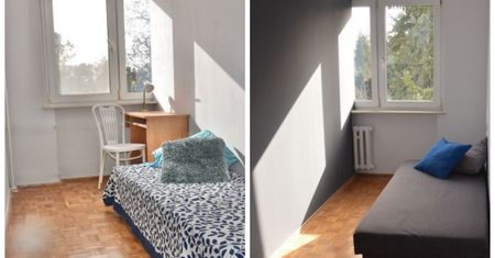 Ściana przez środek okna. Skandaliczna propozycja wynajmu