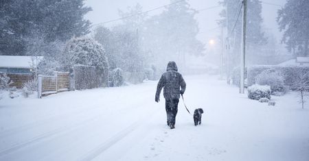 Zima w Polsce. Są prognozy pogody aż do lutego