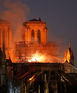 Pożar Notre Dame. Zrobiła zdjęcie "ojcu i dziecku” godzinę przed tragedią. Dziś szukają ich tysiące osób