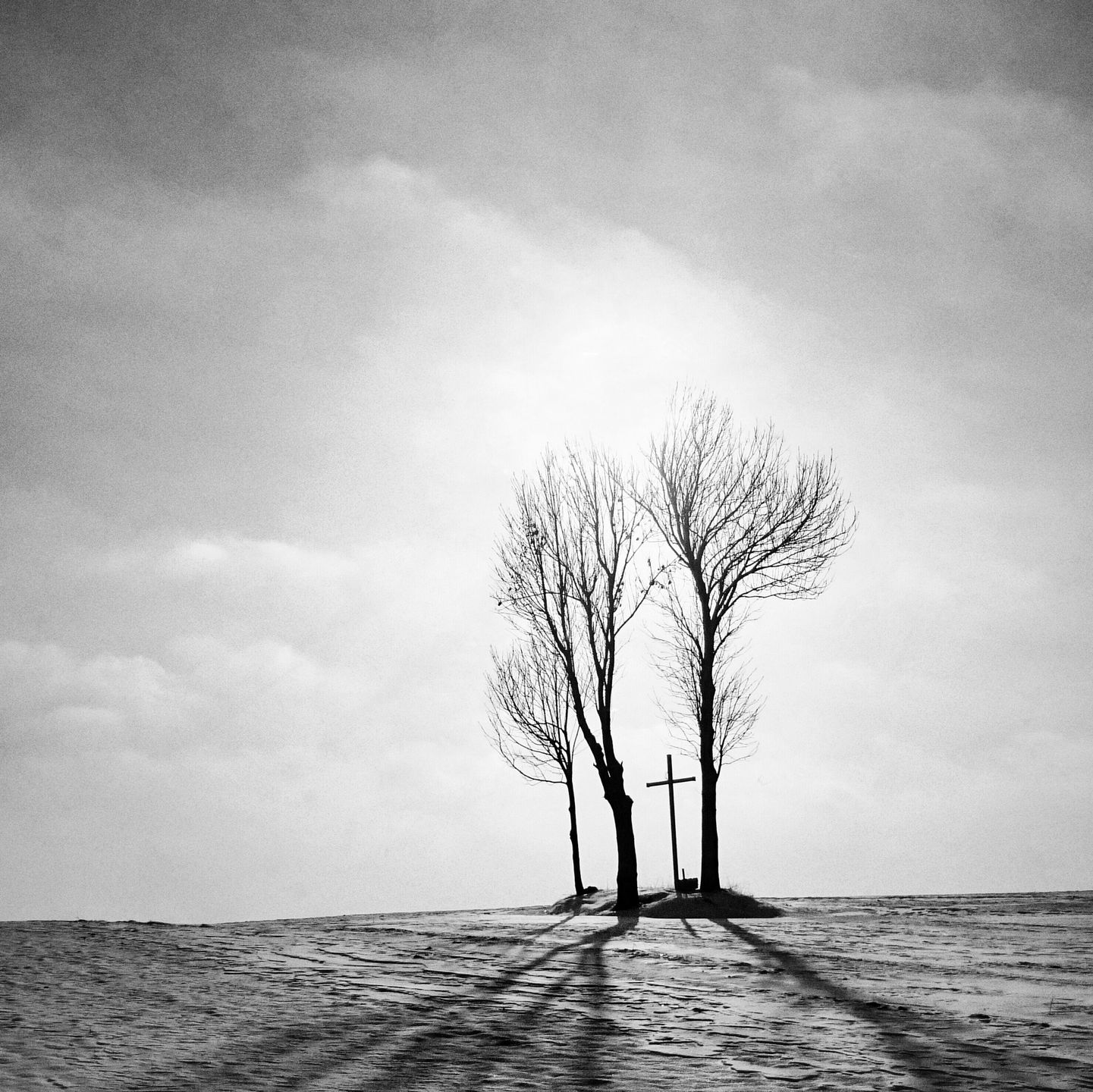 Najlepsze zdjęcia wykonane smartfonami nagrodzone w Sony World Photography Awards 2015 18