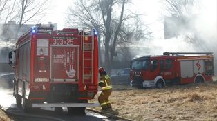 Bożenkowo: Pożar na ogródkach działkowych. Interweniowały cztery zastępy straży