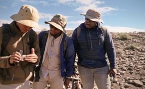 Polsat Viasat Nature HD Pochodzenie ssaków