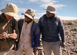 Polsat Viasat Nature HD Pochodzenie ssaków