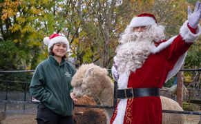 Polsat Viasat Nature HD Boże Narodzenie w londyńskim zoo