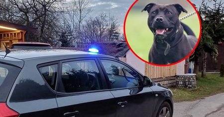 Agresywny pies atakuje mieszkańców. Są przerażeni