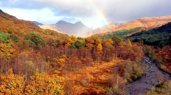 Dzika Szkocja: cztery pory roku
