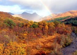 Polsat Viasat Nature HD Dzika Szkocja: cztery pory roku