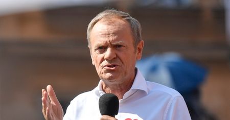 Wykształcenie Donalda Tuska. Jego pierwsze prace nie były związane z polityką