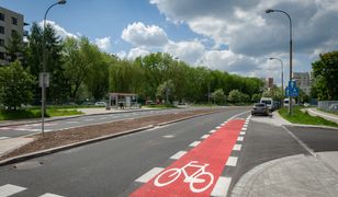 Warszawa. "Obwodnica" Gocławia przejdzie transformację. W planach ogrody deszczowe