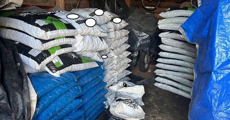 Ukradł 26 ton węgla. Wywoził go fiatem seicento