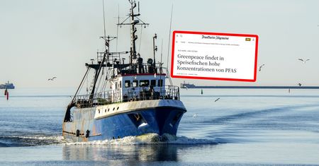 Alarm ws. ryb z Bałtyku. Wysokie stężenie PFAS