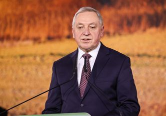 Wicepremier składa obietnice. Chodzi o eksport ukraińskiego zboża