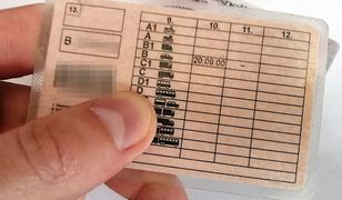 Nie tylko samochód i motocykl 125 cm3. Czym można jeździć na kat. B?