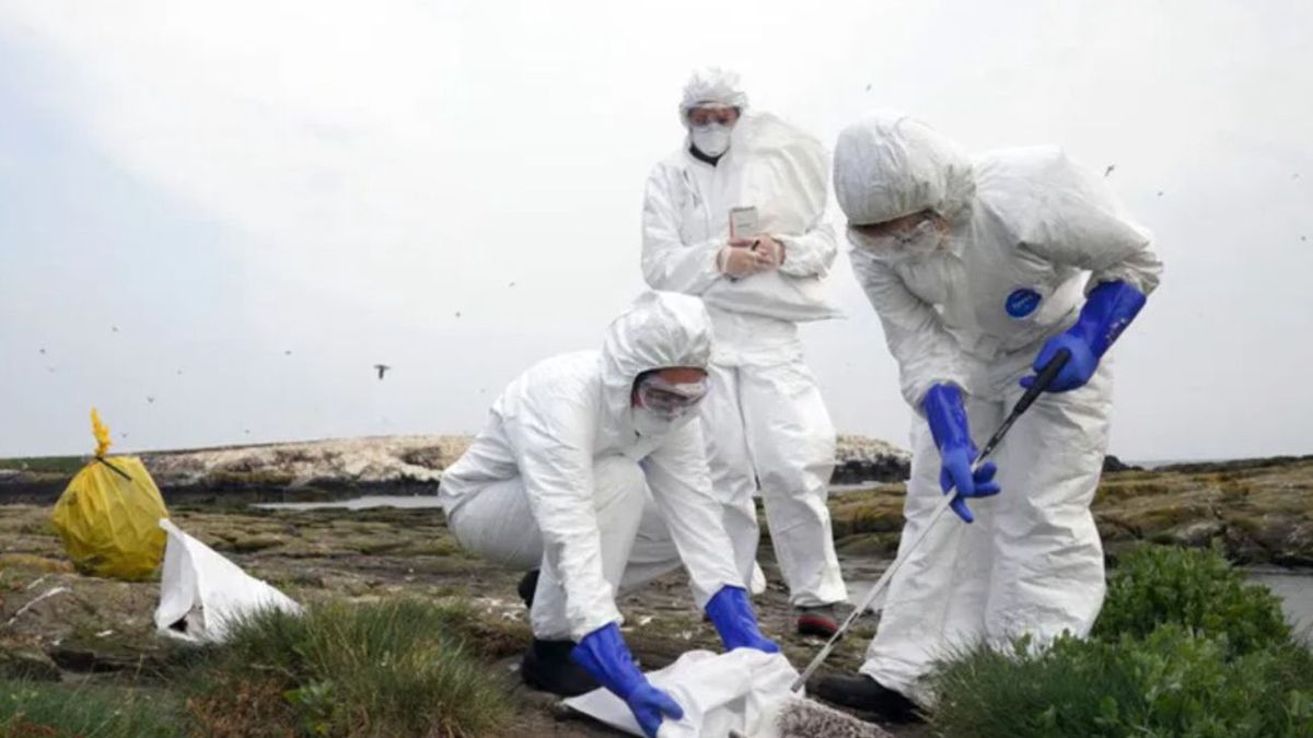 Nowe działania mają pomóc ograniczyć rozwój epidemii