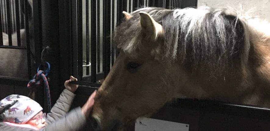 Dzieci uwielbiają Cekina