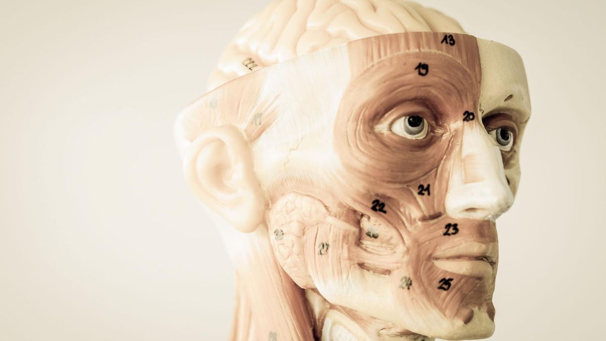 Możemy cierpieć na dziwne choroby i o tym nie wiedzieć 