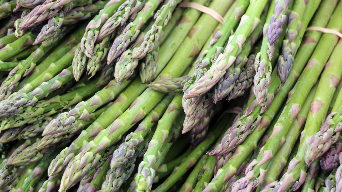 Szparagi i ich końcówki