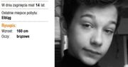 Elbląg. Zaginął 14-letni Dominik. Trwają poszukiwania
