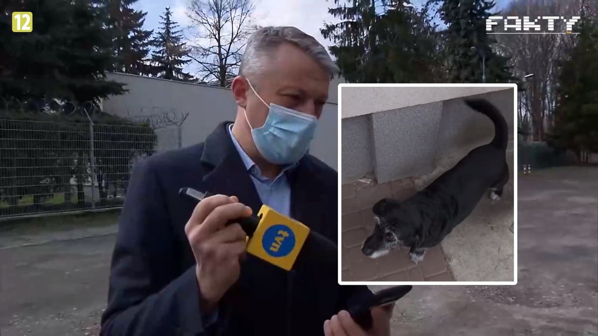 Podkomisja smoleńska zataiła przed dziennikarzem TVN nawet imię dla psa